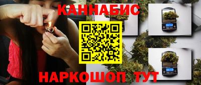 гидра Вязьма