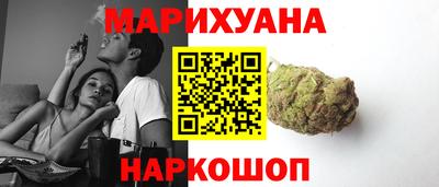 гидра Вязьма
