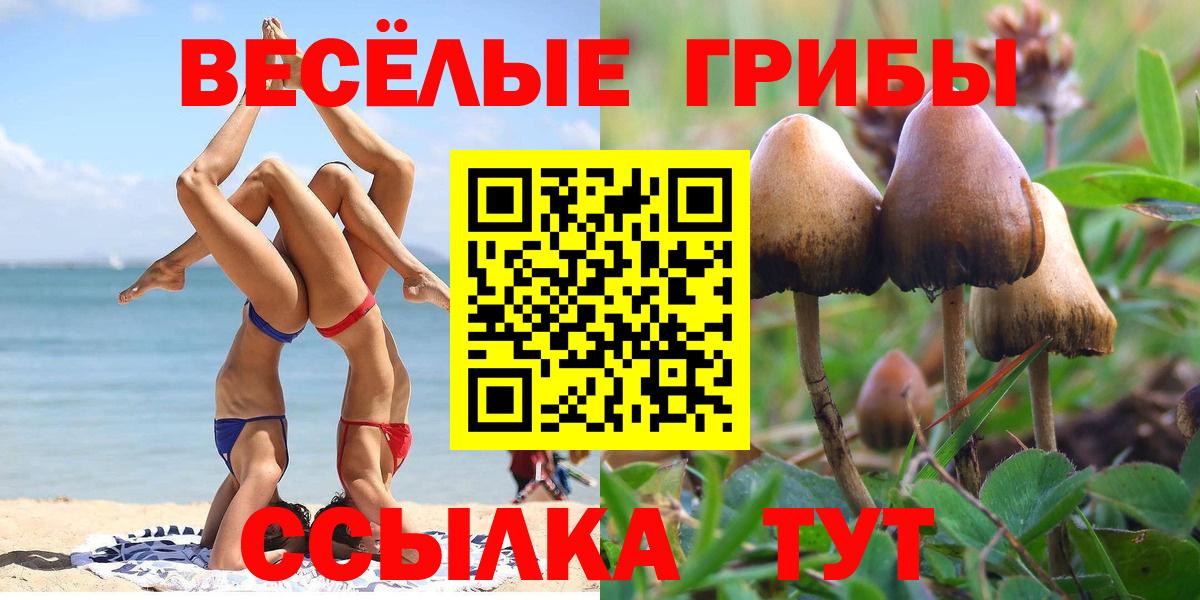Галлюциногенные грибы Cubensis  Вход с VPN  Волжский 